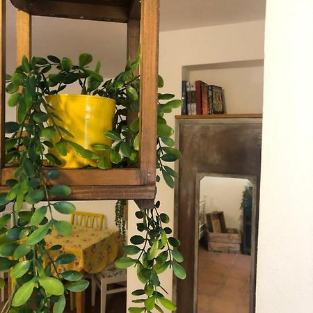 Country Flat Maria Apartment Evropouloi Екстериор снимка